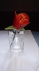 carving 15