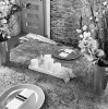 Florysta 3