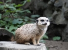 Wycieczka do wrocławskiego ZOO 