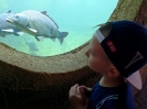 Wyprawa do ZOO i Afrykarium