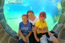IMG_20190704_153737-001