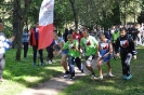Obraz 081