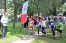 Obraz 087